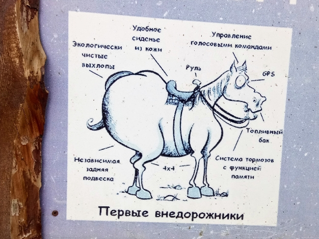 Конная прогулка с посещением Чайного домика. 