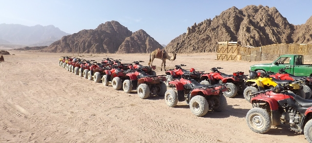 Супер мото сафари 70$