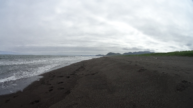 Экскурсия на Халактырский пляж