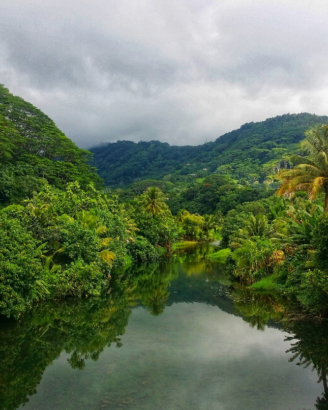 Обзорная экскурсия по Таити