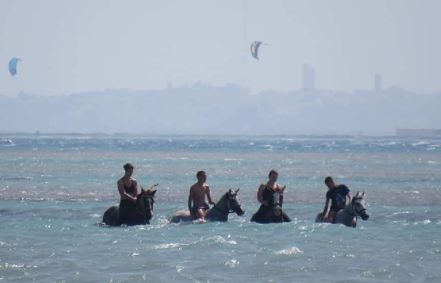 Прогулка верхом