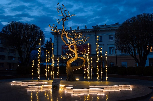 «Свет ночной Винницы»