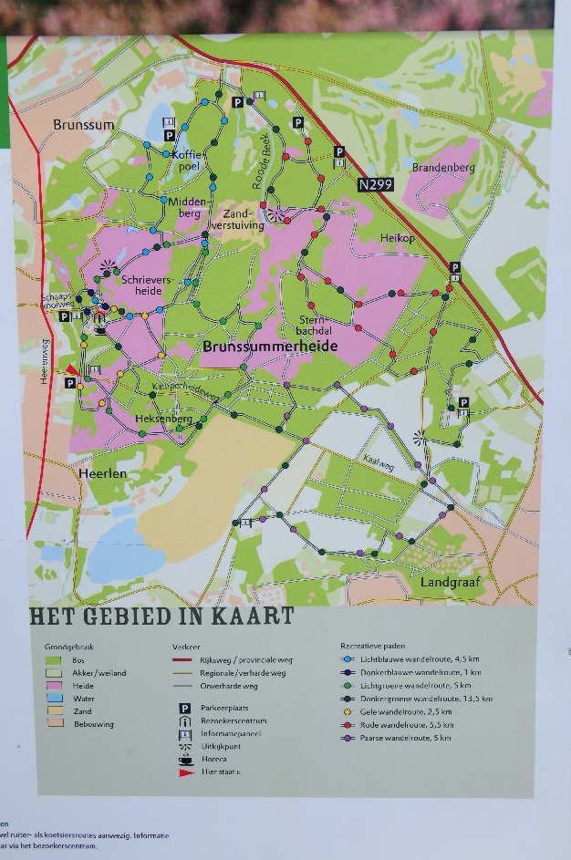 Вересковые поля Брюнсума