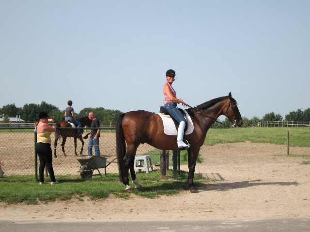 Прокат Лошадей в деревне Wijnandsrade 