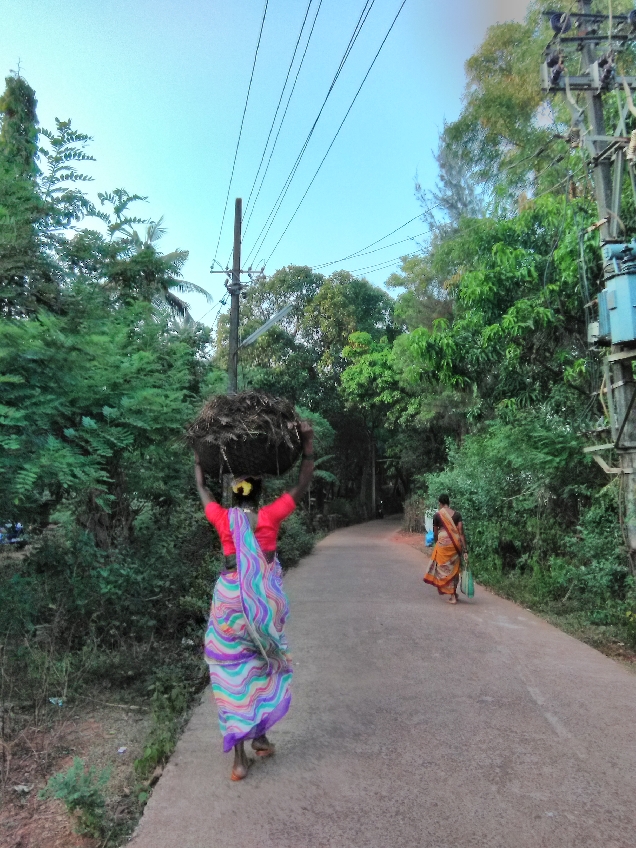 Гокарна и её окрестности