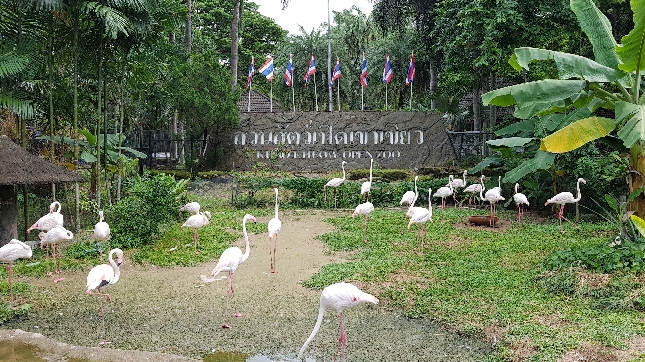 Зоопарк Khao Kheow + Сад экзотических фруктов