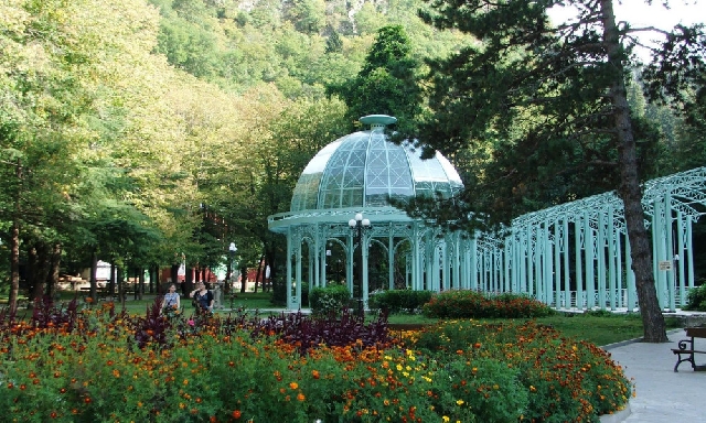 Желаешь грузинского долголетия?