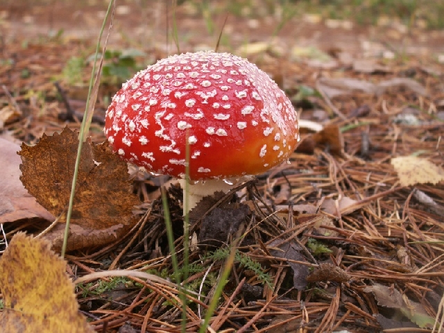 Обзор активного отдыха