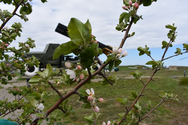 Будни Темрюка - Города Воинской Доблести