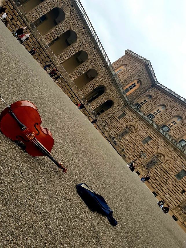  Паллаццо Питти : роскошь, власть и тайны великой династии.