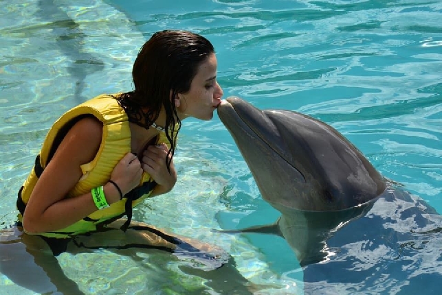 Плавание с дельфинами