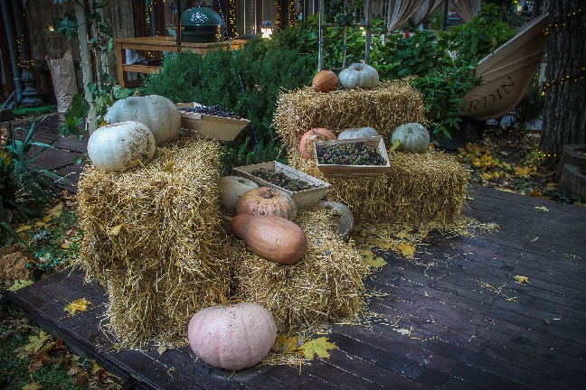 Гастрономическая Одесса
