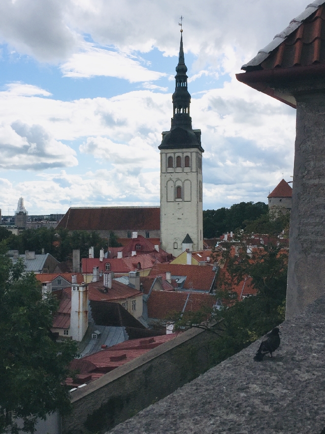 Обзорная экскурсия по Старому городу