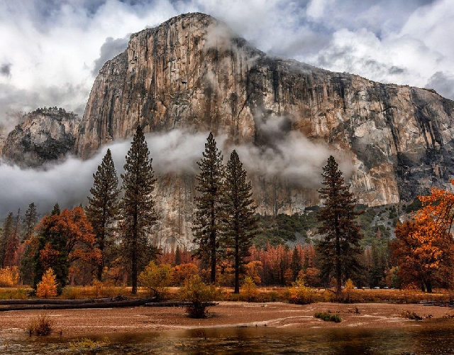 Национальные парки Йосемити и Секвойа