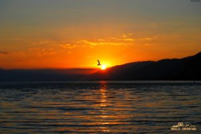 Севан — Севанаванк — Дилижан — Гошаванк — Агарцин