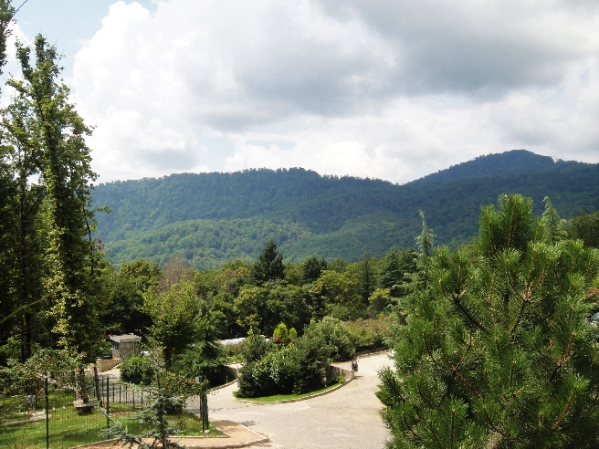 Сокровища Мзымты