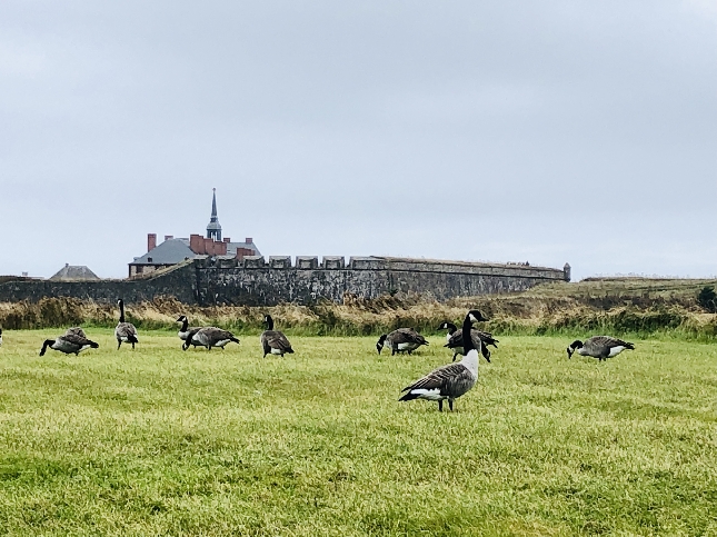Туры для круизных пассажиров. Сидней, Новая Шотландия.
