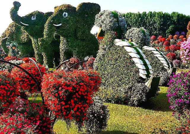 Парк цветов и Международная Деревня / Miracle Garden &Global Village 