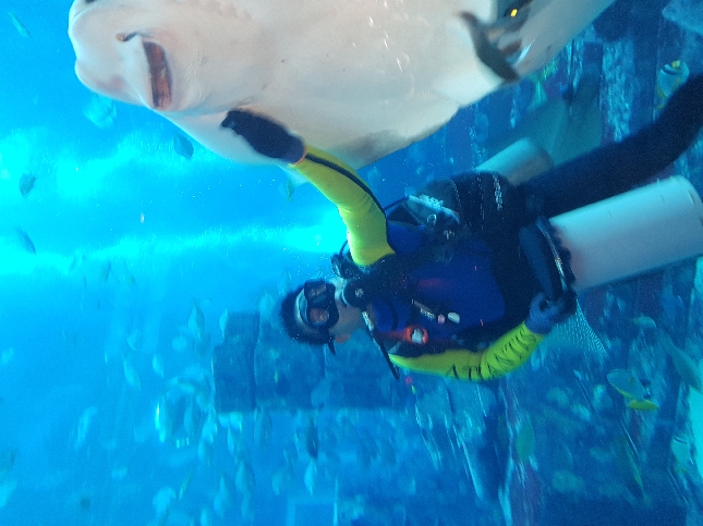 Семейный Дубай тур для детей и их родителей 