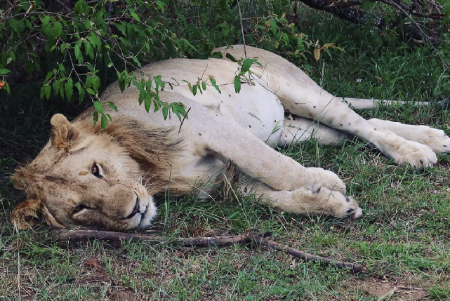 ДОРОГА НА ОКЕАН 6 ДНЕЙ/5 НОЧЕЙ