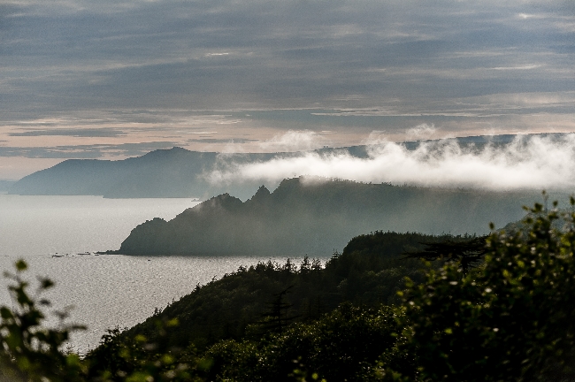 Экскурсия по городу и побережью