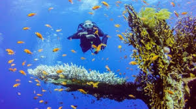 ДАЙВИНГ С БЕРЕГА 