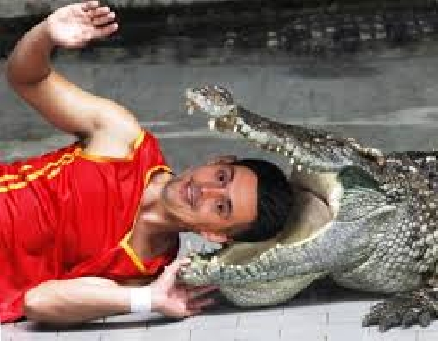 ШОУ КРОКОДИЛОВ И ЗМЕЙ