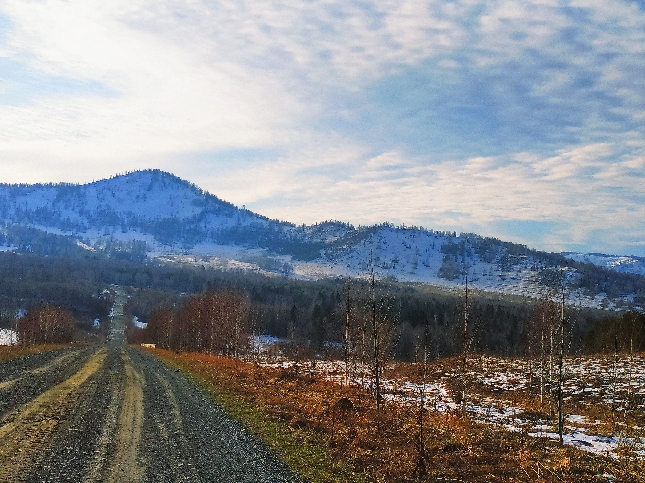 Риддер и окрестности. Серый Луг.