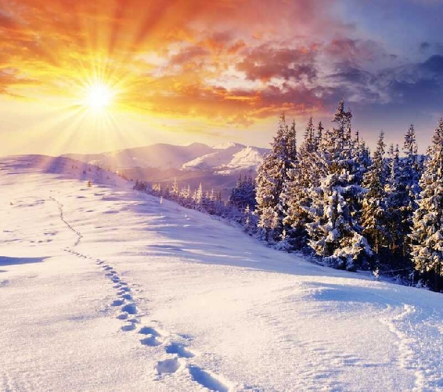 Поход за северным сиянием на Аляске