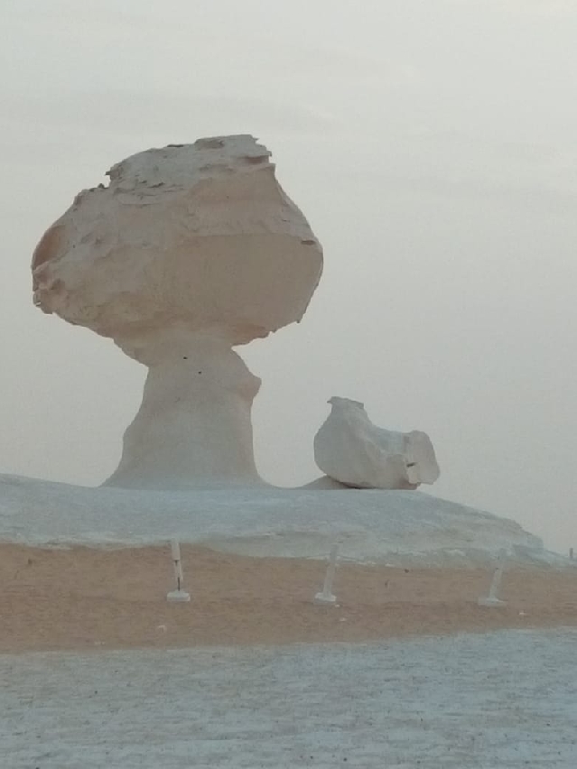 Белая & Черная пустыни из Каира