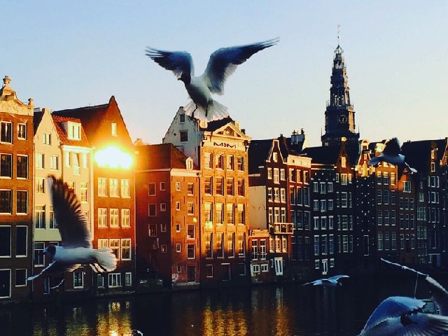 Амстердам — первое знакомство