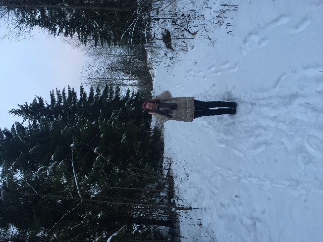 Изборск - Печоры