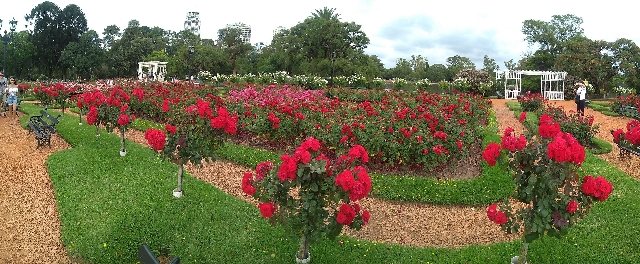 Сад Роз “El Rosedal” 