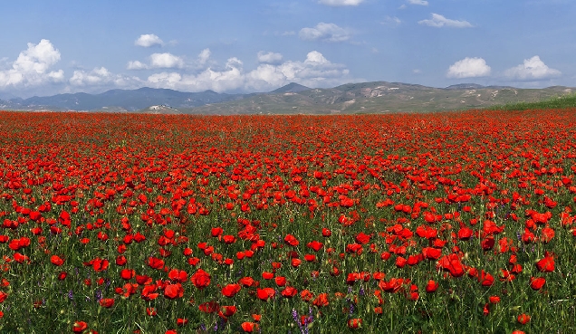 Горные кишлаки Нурата