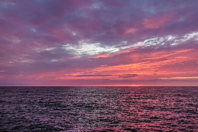 Вечерний круиз на яхте Фантазия 25$