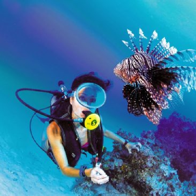 Дайвинг с берега 30$