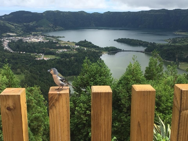 Сет Сидадеш и горячий океан