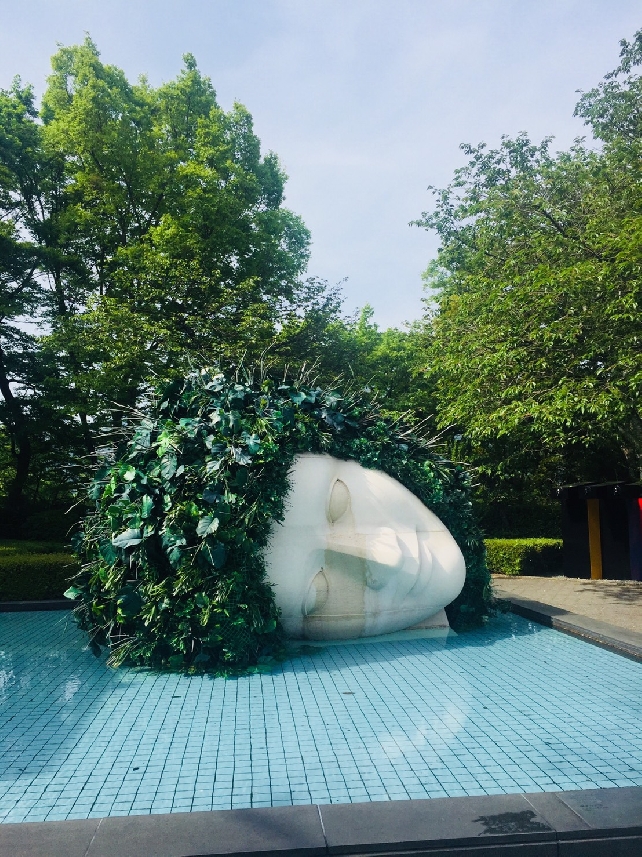 КОМПЛЕКСНЫЙ ТУР ПО ХАКОНЕ  