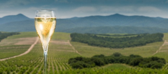 Экскурсия в Абрау-Дюрсо