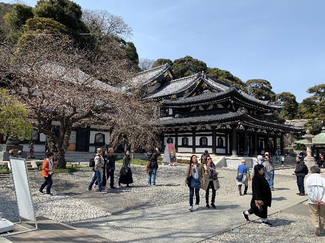 Камакура экскурсия на авто 8 часов