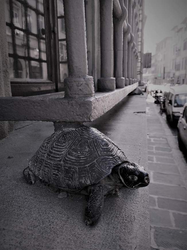 СКРЫТЫЕ СИМВОЛЫ ФЛОРЕНЦИИ