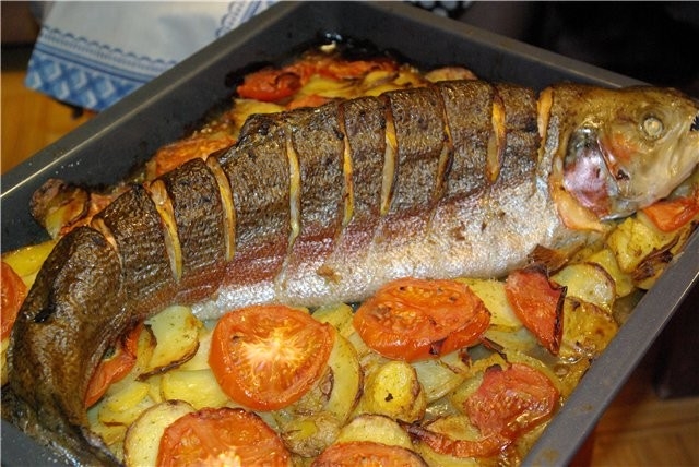 Рыбная экскурсия для гурманов и не только.