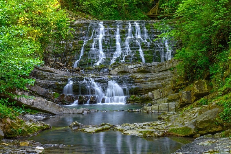 Мацестинские источники + Змейковский водопад + Чайные плантации