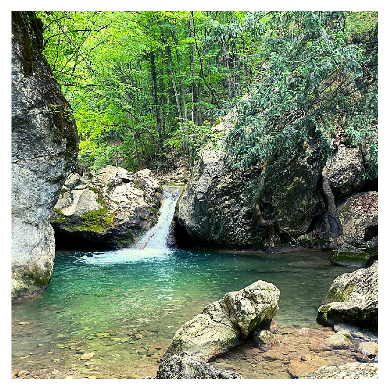 50 оттенков зелени