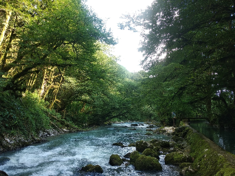 Экскурсия по Абхазии