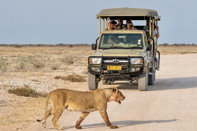 Сафари из Кейптауна