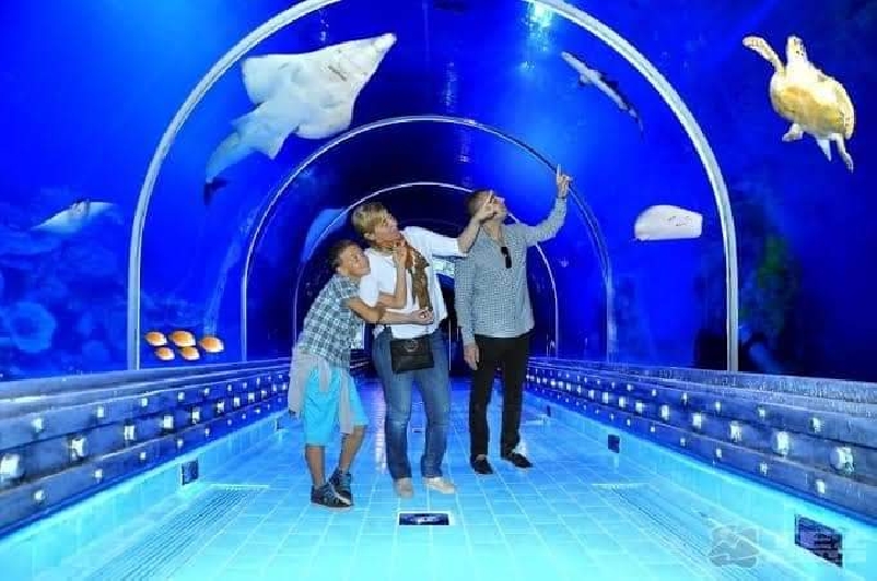 Гранд аквариум 