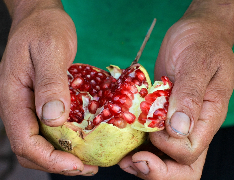 Индийский океан