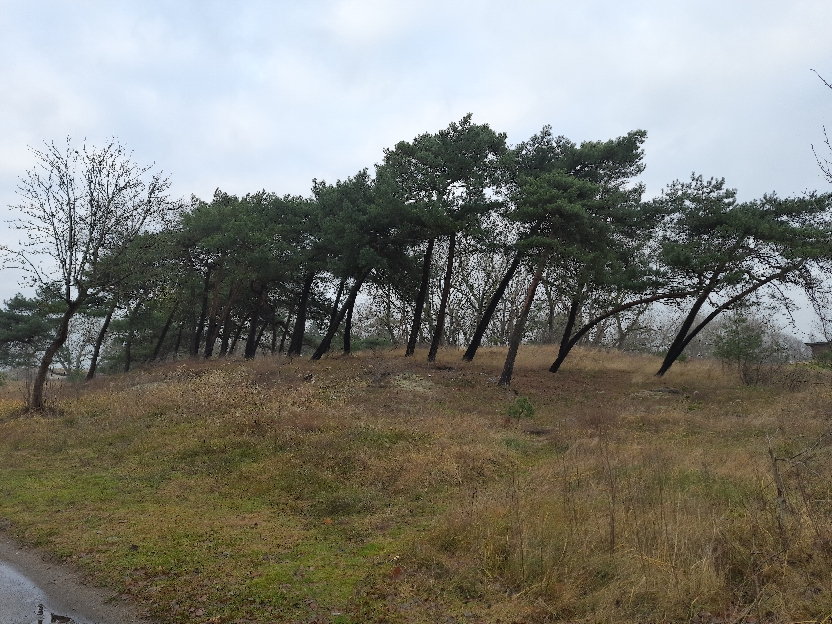 По ту сторону пролива