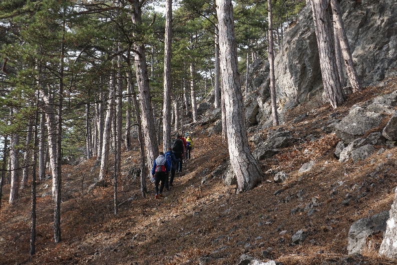 Поход через Массандровские гроты
